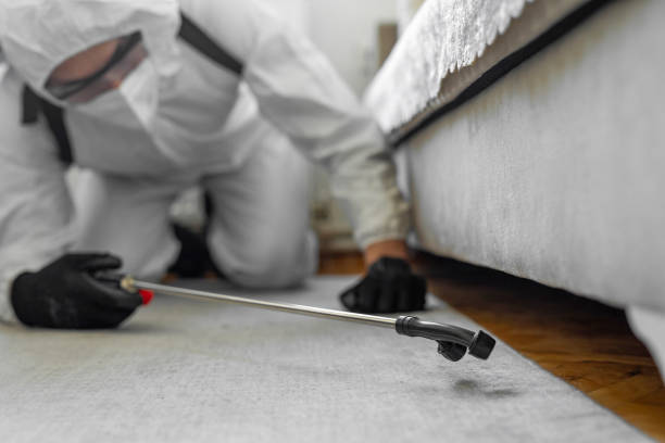 Professional Bed Bug Control technician working in Osseo, WI